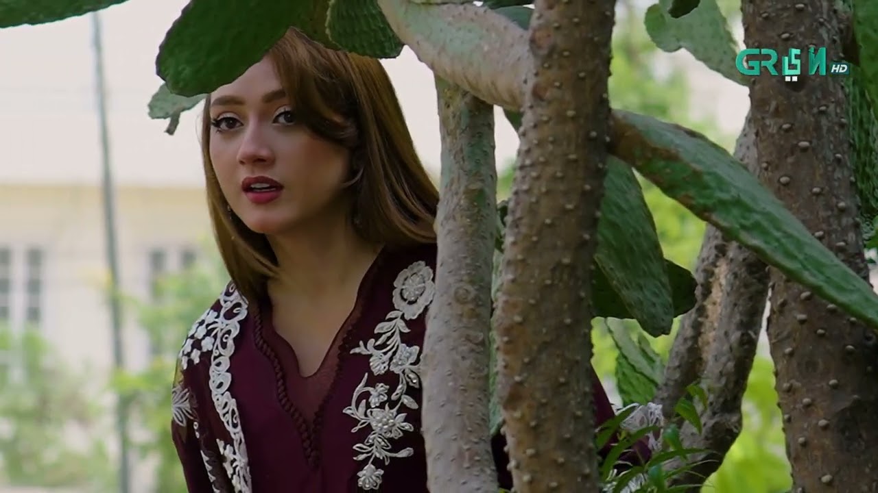 Jan Bujh Ke Gari Ke Agay Aa Gayi - Momina Iqbal - Junaid Khan | Do Kinaray | Green TV