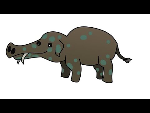 Phiomia got diarrhea