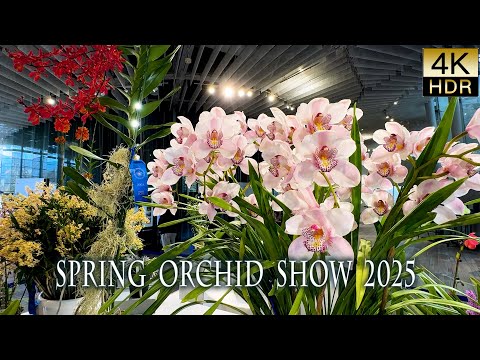 【4K HDR Orchid】Spring Orchid Show 2025