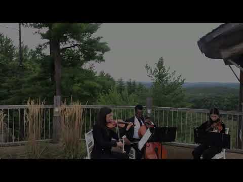 Caruso - Luciano Pavarotti - Lucio Dalla - String Trio Cover || SoulStation Orchestra