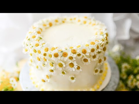 download lagu mp3 mp4 Chamomile Honey Cake, download lagu Chamomile Honey Cake gratis, unduh video klip Chamomile Honey Cake