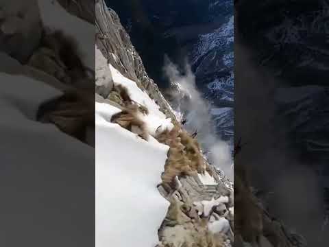 POV: Running the Rocky Ridges