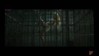 Harley quinn I The guard and Harley