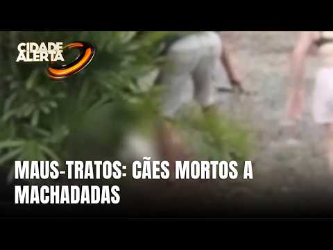 Homem é preso suspeito de matar cães em Timbó