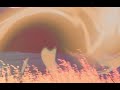 Pure Bathing Culture Thin Growing Thing Official Music Video