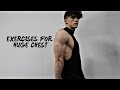 EXERCISES FOR A HUGE CHEST | 16 YEAR OLD BODYBUILDER