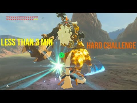 Zelda botw lynel challenge (just master sword, no power, in master mode and less than 3 min)