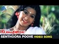 16 Vayathinile Tamil Movie Songs Senthoora Poove Video Song Kamal Haasan Sridevi Ilayaraja