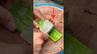 Download lagu Very good and easy steps to get aloe vera gel mp3
