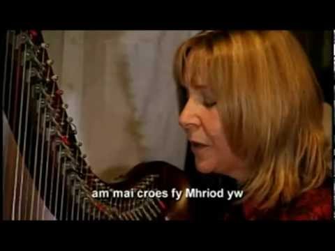 Sian James a Parti Cut Lloi