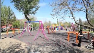 ARS PARK