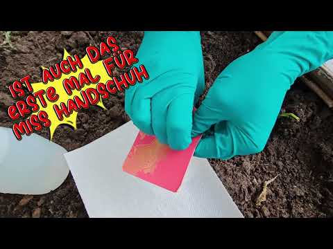 Cannabis vom Samen bis zur Pflanze😃Unser 1 Versuch!!! Für Anfänger