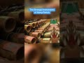 The Strange Instruments of Harry Partch