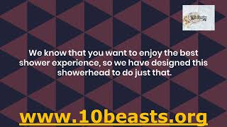 Top Filter Shower Head Lowes