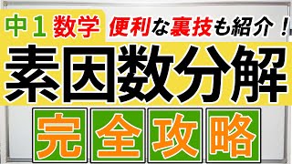 【中1数学】素因数分解を完全解説｜この動画一本で素数も自然数もすべてわかります
