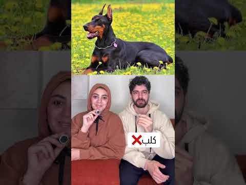 الكلب عند مراتي😂🐶