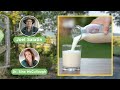 Understanding A1 & A2 Raw Milk