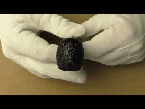 Dunhill Shell Briar 1101 - pipe F033