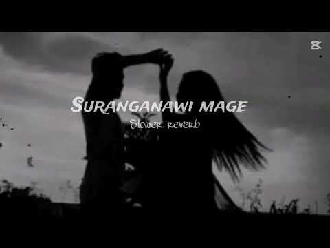 Suranganawi mage | සුරංගනාවී මගේ| Ruwan hettiarachchi |(slowed & Reverb)