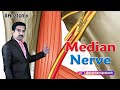 Median nerve Anatomy Animation USMLE Step 1 - Origin, Course, Branches and Median nerve injury