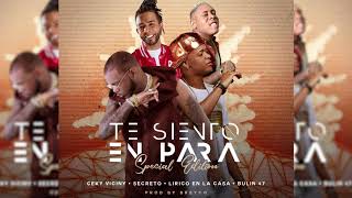 Ceky Viciny Ft. Secreto "El Famoso Biberon", Lirico En La Casa, Bulin 47 - TE SIENTO EN PARA (Remix)
