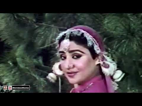 HO DIL KARAY AJ PAWAN MAIN DHAMALAAN - ANJUMAN - FILM BAGRO