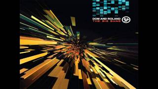 Dom & Roland - Footnotes