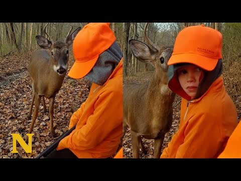 Magical Encounter Between Hunters and Deer
