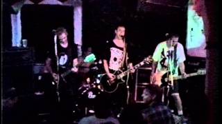 Mr. T Experience - No 22 Scientific