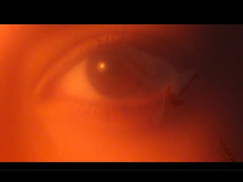 Soho Rezanejad - Elegie