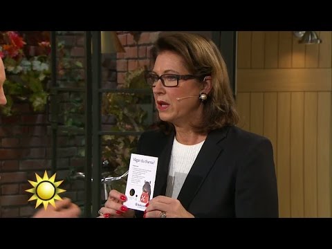 Så blir du av med mössen - Nyhetsmorgon (TV4)