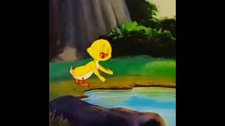 Download lagu Downhearted duckling: Nobody loves me ,Tom and Jerry. mp3 Download lagu Downhearted duckling: Nobody loves me ,Tom and Jerry. mp3