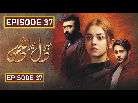 Mera Dil Mera Dushman Episode 37 || 25th June 2020 || ARY Digital Drama