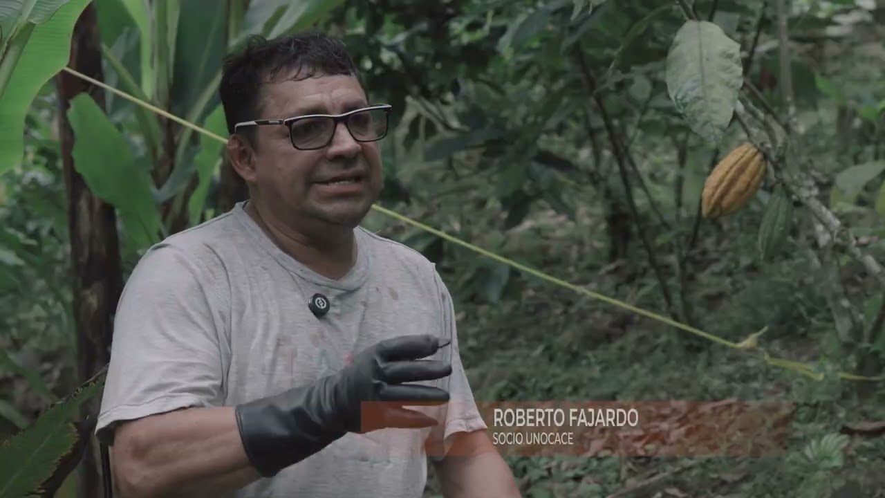 PROMESA CC 6