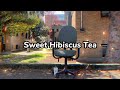 Penelope Scott Sweet Hibiscus Tea Lyrics