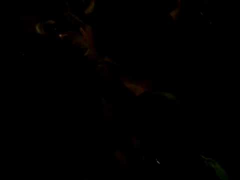 A noite do cachorro doido [2] paty e thais