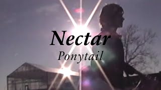Nectar – “Ponytail”