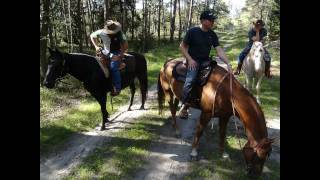 preview picture of video 'Heidegut Eschede 2011'