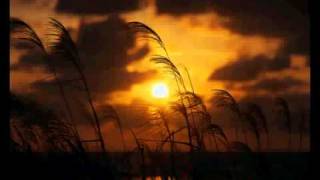 Keali i  Field of Gold le chant d'or - karin mo min