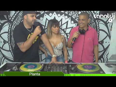 DJ Planta - Programa BPM - 26.11.2016 ( Entrevista )