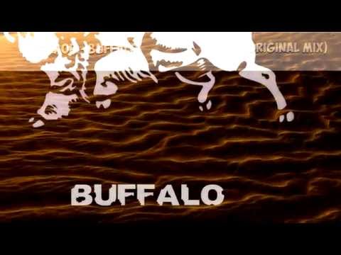 SKAOR - Buffalo (Original Mix)