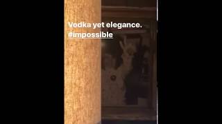 Vanessa Carlton - Vodka Yet Elegance Impossible - New Song 2018