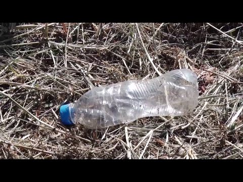 Rio Claro registrou mais de 130 casos de dengue este ano