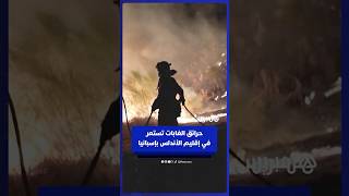 رجال الإطفاء يكافحون حرائق الغابات في إقليم الأندلس بإسبانيا thumbnail