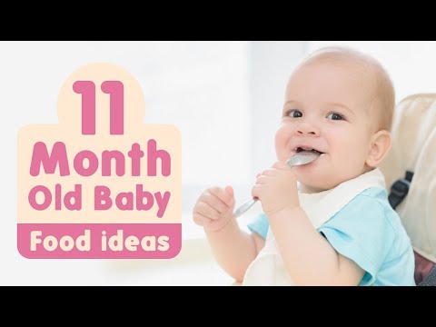 Food Ideas for 11 Month Old Baby
