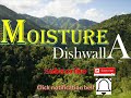 moisture dishwalla with lyrics