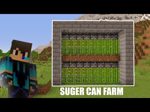 BEST SUGER CANE FARM IN MINECRAFT 1.19.3 (TutorialCraft)