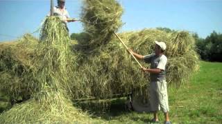 Beach Boys - Country Air