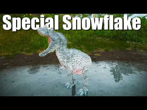 This is not a cerato you'll likely see again