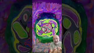 Happy Hour Learning pt.12